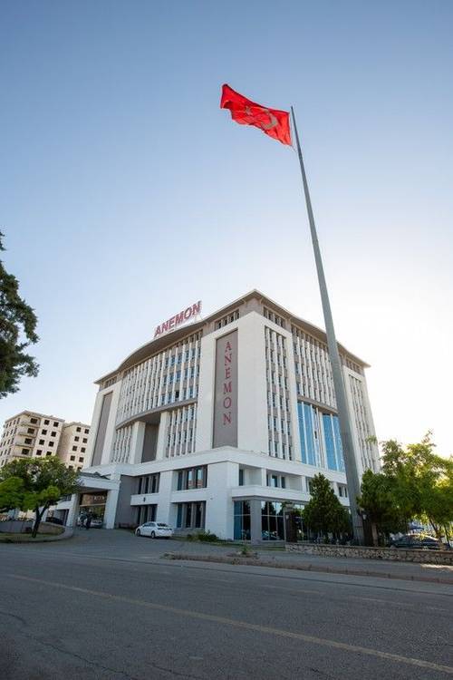 Anemon Malatya