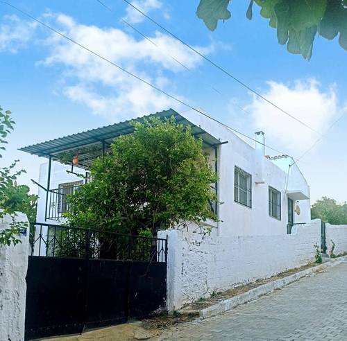 Lotus House