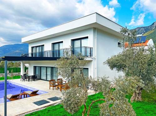 Villa Olive Tree