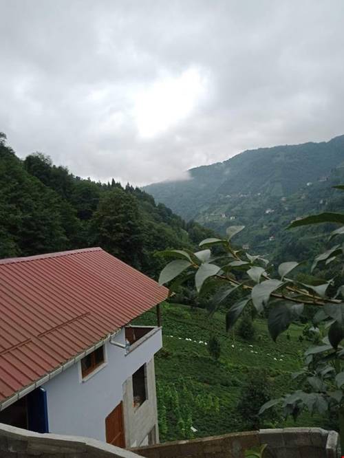 Merze Villa
