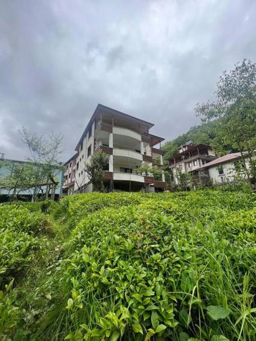 Serona Bungalow