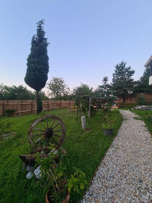 White Home Sapanca