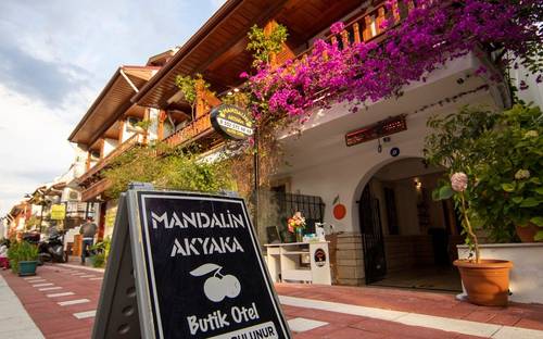 Mandalin Akyaka