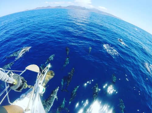 Villas Monte Solana by LIVVO