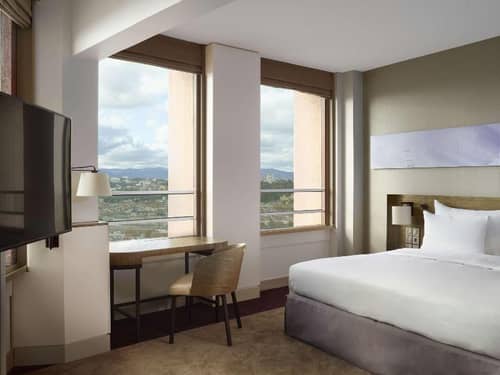 Radisson Blu Lyon
