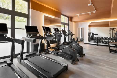 Renaissance Vienna Imperial Riding School