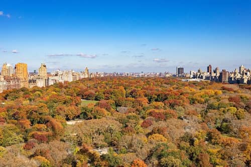 JW Marriott Essex House New York