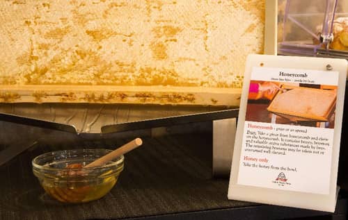 Best Western Plus CHC Florence