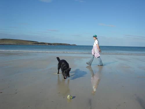 Mansefield Guest House