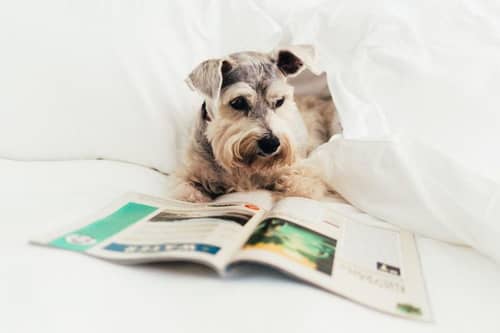 Loews Ventana Canyon Resort