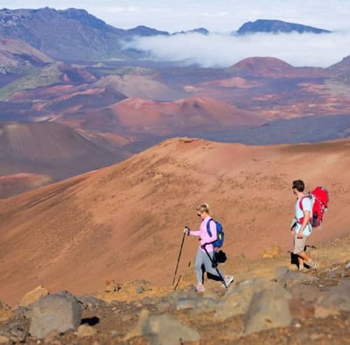 Palms at Wailea Maui