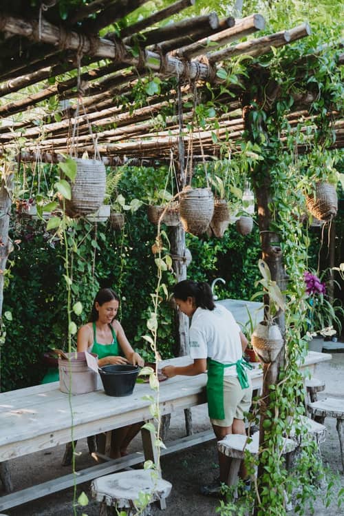 Villa Park Sun Island Resort