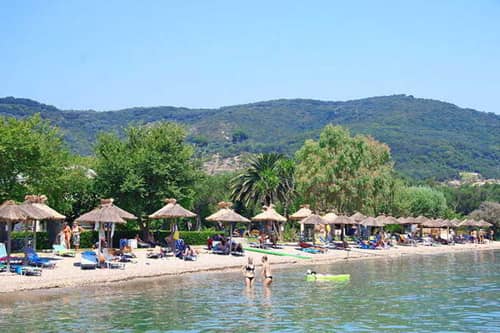 Delfinia