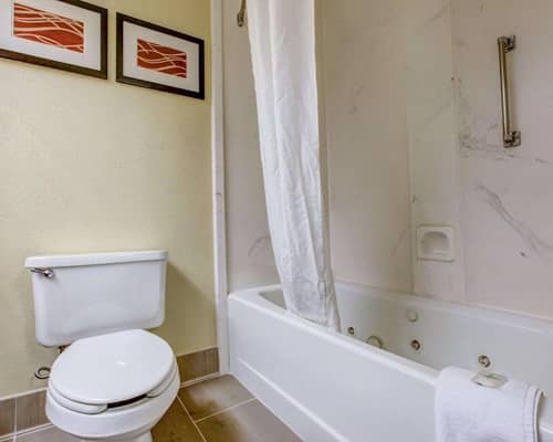 Comfort Suites At Rivergate Mall