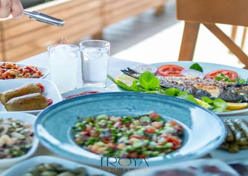 Troilus Park House Hotel