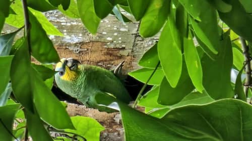 Greenheart Boutique Hotel