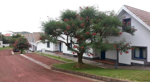 Apartamentos Turisticos Nossa Senhora Da Estrela