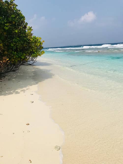 Bon Abri Maldives