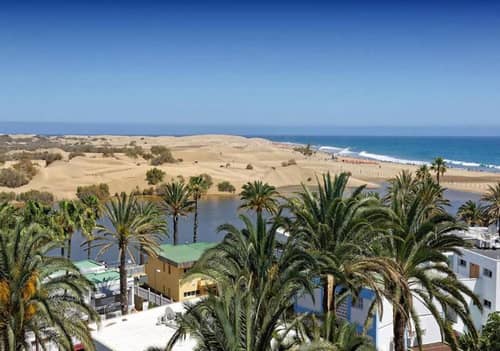 Apartamentos Los Cocoteros