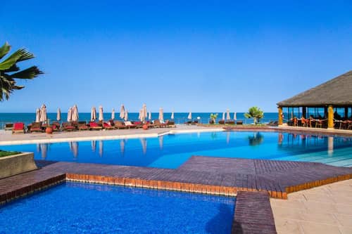 Royal Horizons Baobab