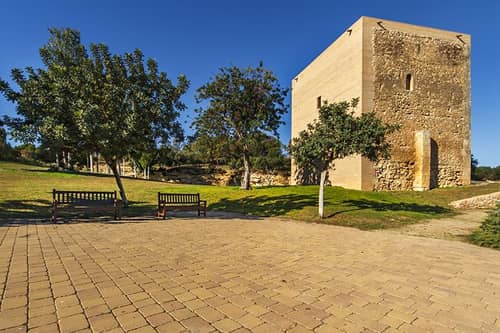 Pineda Park