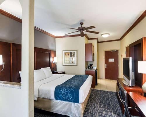 Comfort Suites Gainesville