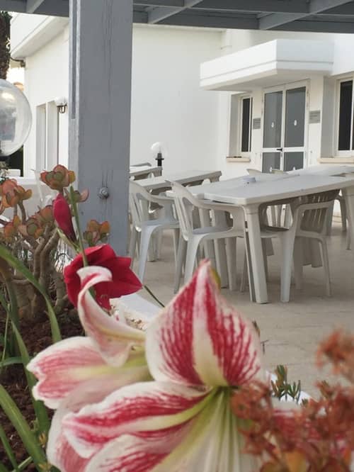 Blue Crane Hotel Apts