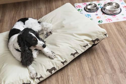 Best Western Plus Park Hotel