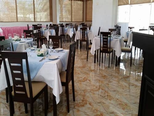 Flamingo by Bin Majid