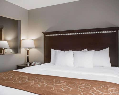 Comfort Suites Near Texas A and M - Corpus Christ