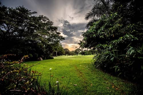 Selborne Golf Estate Hotel & Spa