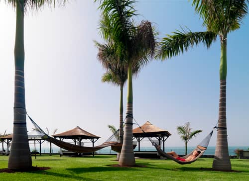 RedLevel at Melia Palacio de Isora