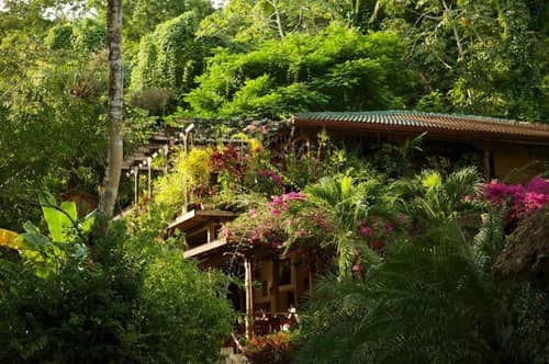 Ian Andersons Caves Branch Jungle Lodge