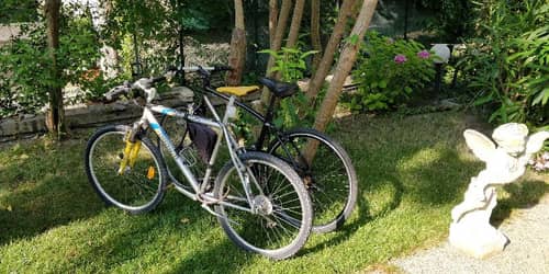 Villa Delle Palme Hotel