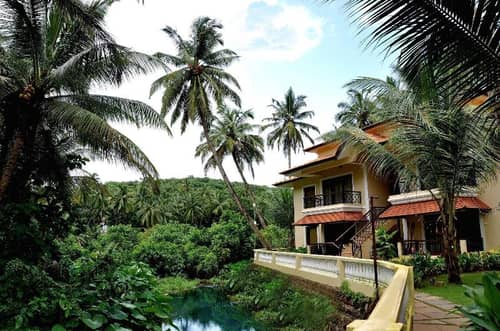 Collection O 40310 Devasthali