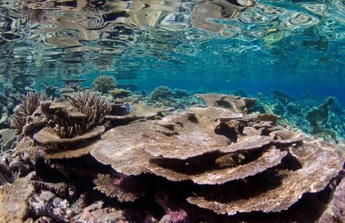 Park Hyatt Maldives Hadahaa