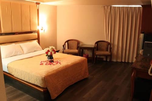 Spring Art Hotel