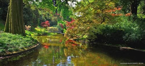 Hotel Belvedere - Bellagio