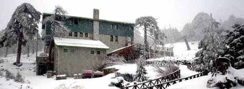 Forest Park Hotel