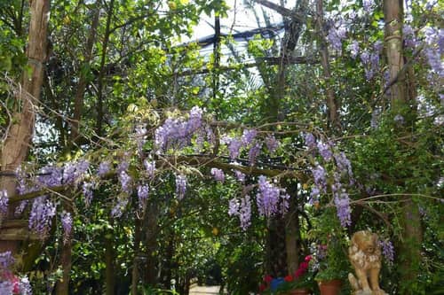 Sorrento Experience