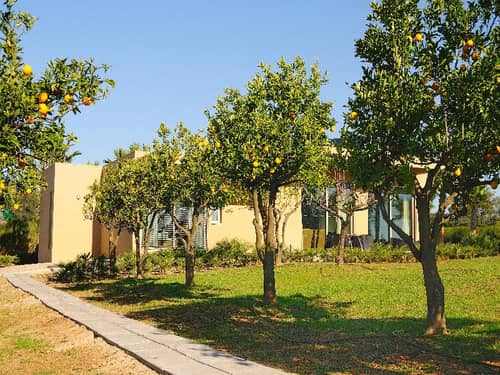 Montargil Monte Novo