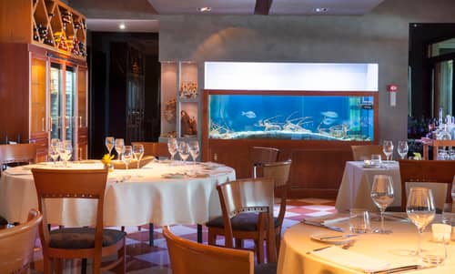 Hotel Villa Kapetanovic