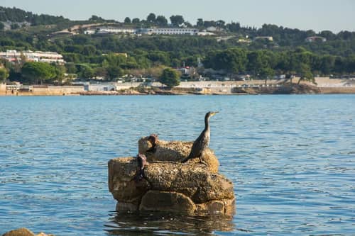 Hotel Plage Saint Jean