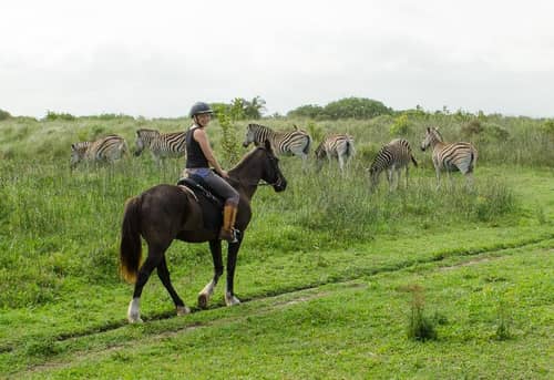Lodge Afrique