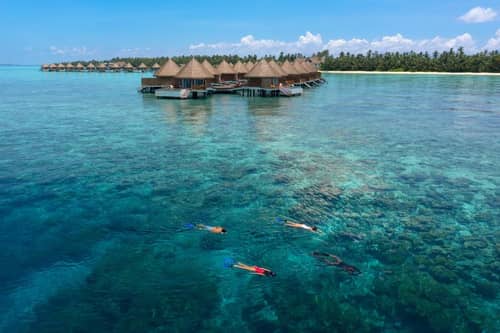 Mercure Maldives Kooddoo Resort Only Adults