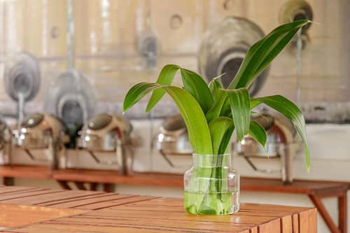 The Vinorva Maldives