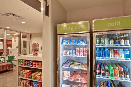 Home2 Suites Tampa Usf Near Busch Gardens