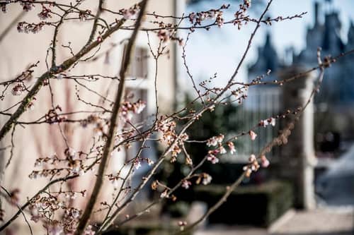 Relais de Chambord