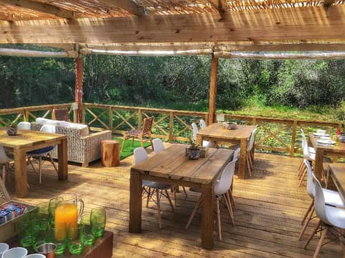 Forest Edge Nature Lovers' Retreat