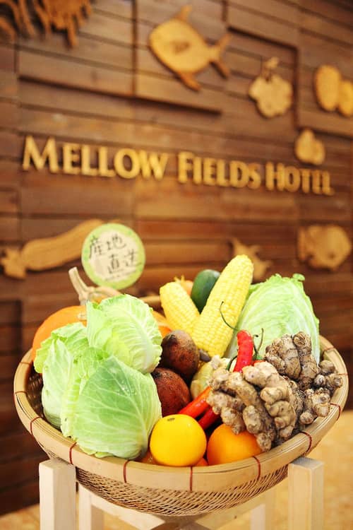 Mellow Fields Hotel